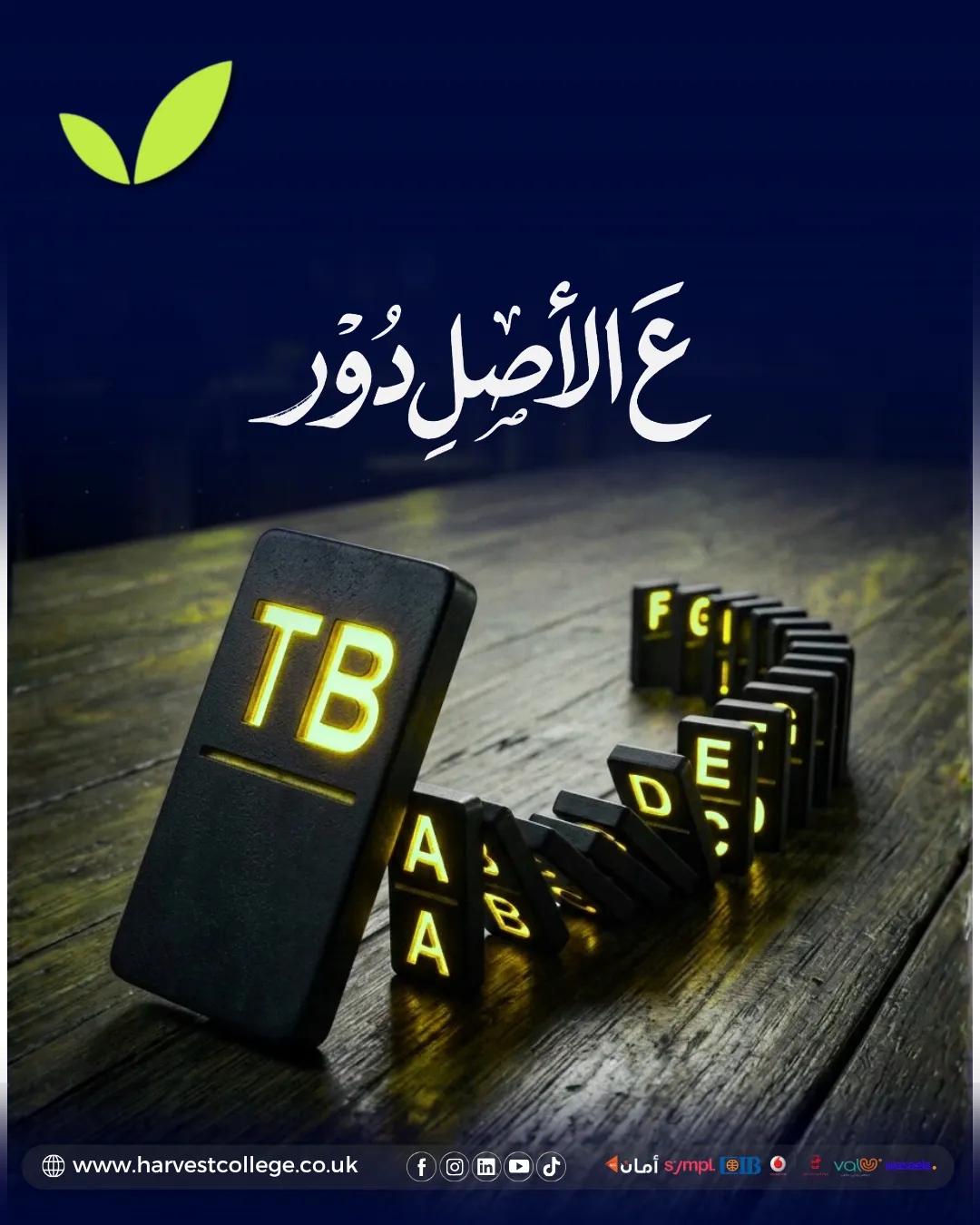 مبادرة تأهيل المبتدئين (Tb)